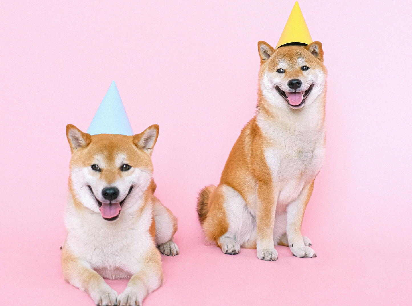 Personalized SnuggleThrow